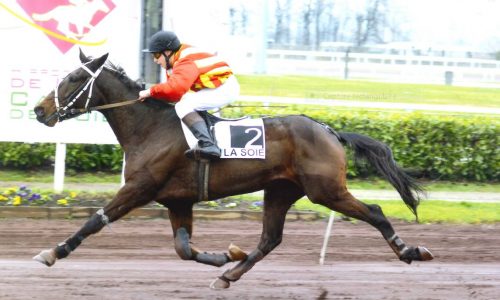 galop trot
