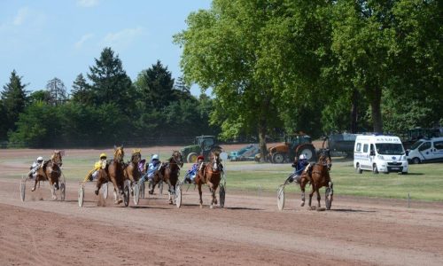 galop trot